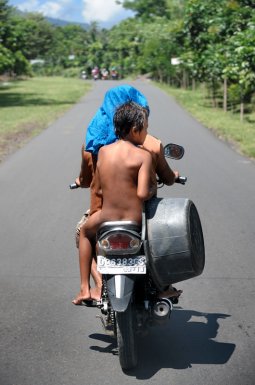 Сулавеси — принадлежащий Индонезии крупный остров в Тихом океане, имеет весьма причудливую форму с сильно изрезанной береговой линией. В силу географических причин (гор и прочих болот), остров разделен на достаточно обособленные друг от друга части, слабо связанные между собой.