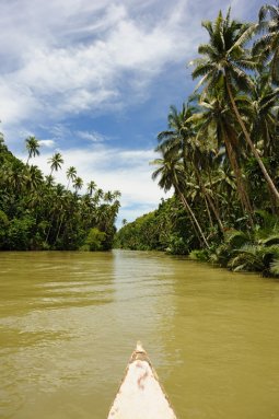Бохол — небольшой остров в Тихом океане, в самом центре группы Висайских островов, относящихся к Филиппинам. Центр одноименной провинции. Остров знаменит тарсирами, Шоколадными холмами и белыми песчаными пляжами.