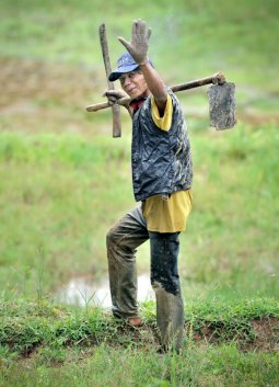 Индонезия богата на различные диковины. Сочная природа словно конкурирует с не менее сочными типажами местных жителей. Буйство растительности плавно сменяется кровожадной экзотикой местных обрядов. От многообразия тесно соседствующих племен и религий рябит в глазах, а тропическая жара побережья контрастирует с холодом горных районов.