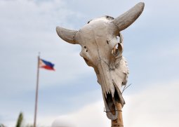 Как и все прочие народы планеты, жители Филиппин первоначально были дикие, с европейской цивилизацией незнакомые, будней и праздников не различали, молились непонятно кому, налоги платили неизвестно куда. Проще говоря, творилось на этих островах всяческое непозволительное непотребство.