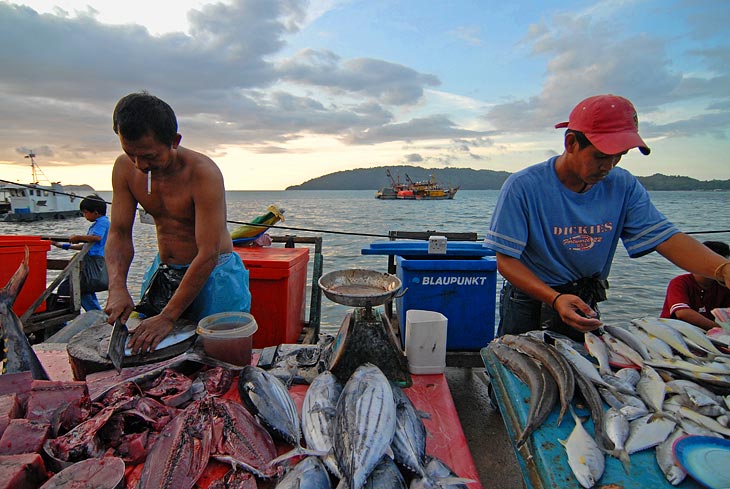 Вся рыба естественно свежая. Ассортимент от тунца до каких-то рыбьих мандавошек. Продавцы потрясают широкими секирами, зачем-то непрерывно чего-то отрубая от рыботушек.
