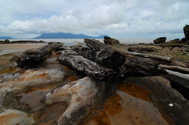 Вышли к морю. Необычный каменный пляж с дровами.
