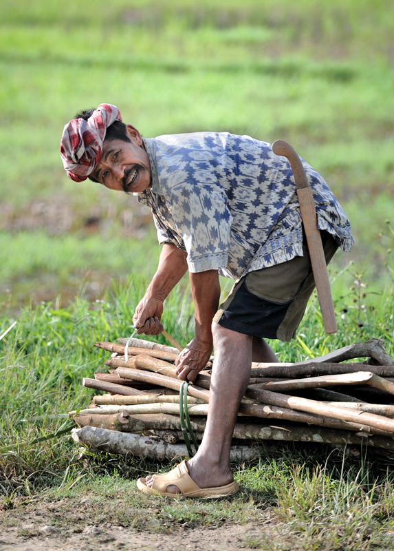 Наиболее типичный представитель тораджей — это жизнерадостный крестьянин с полуметровой саблей.
