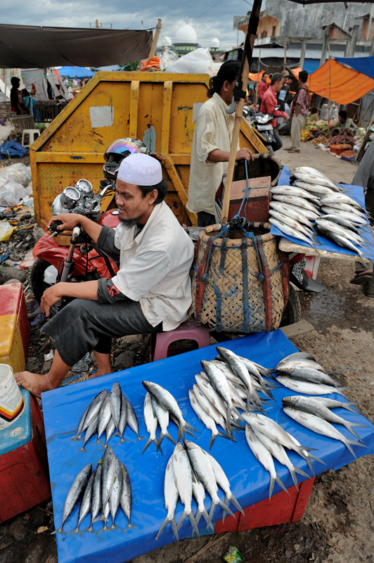 Только торговцы рыбой выкладывают свое добро на крышки пенопластовых ящиков.
