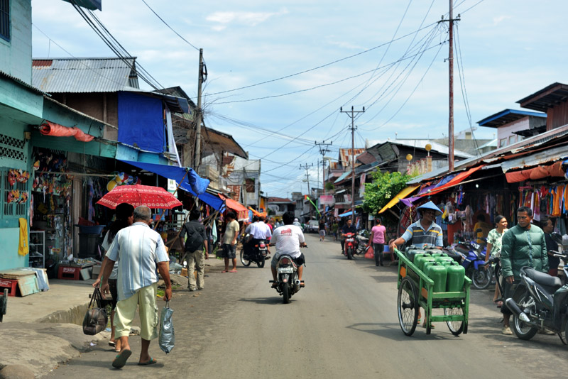 В большей мере интерес представляют различные небольшие городки и деревни, беспорядочно нанизанные на нитки индонезийских дорог.
