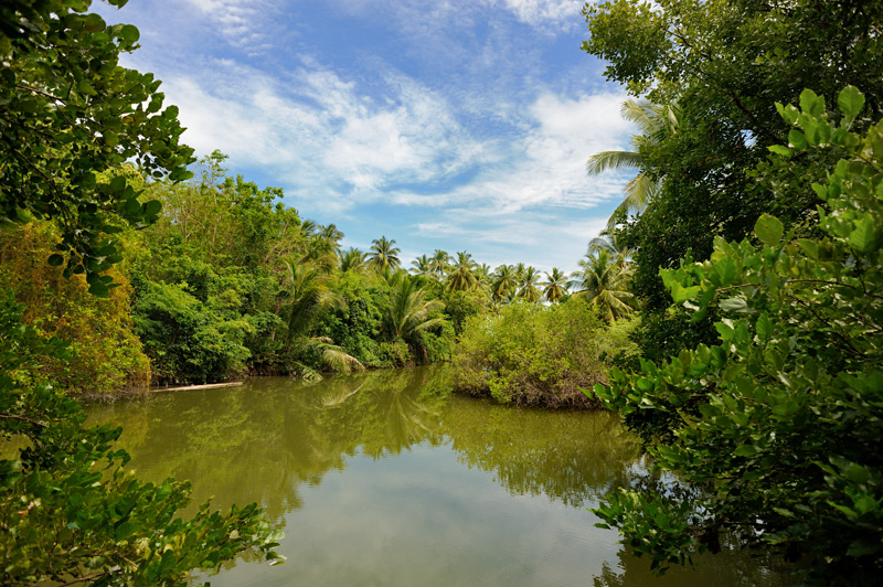 На крохотном острове уместился и тропический лес, и пресный водоем.
