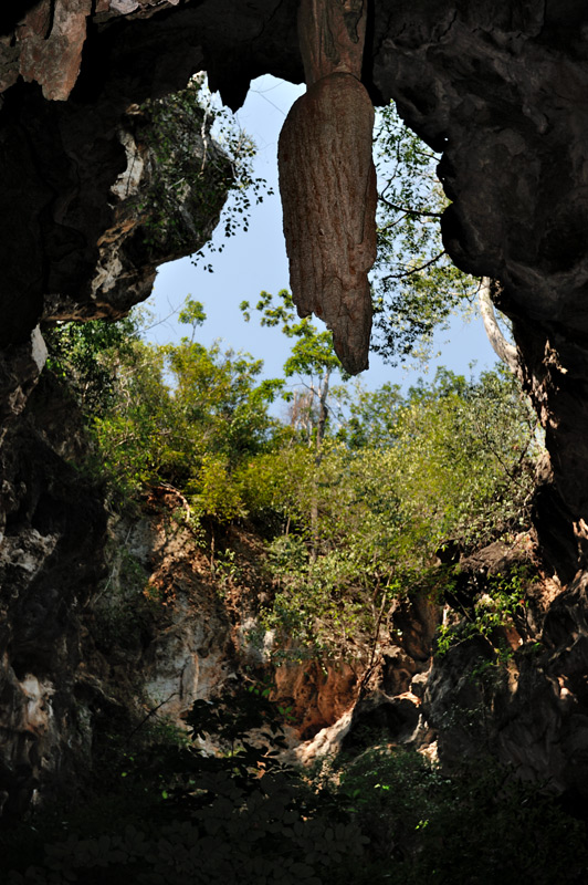 И, раз уж довелось проникнуть под землю, сразу обозреем пещеру Сай (Sai), расположенную в пределах все того же национального парка.
