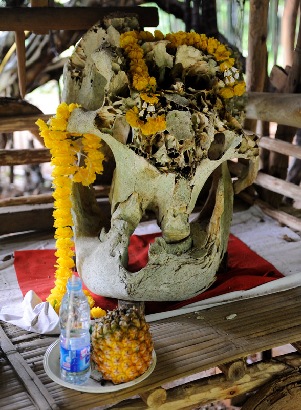 Разве что поклонение черепу слона намекает на анимистические религиозные пристрастия каренов.
