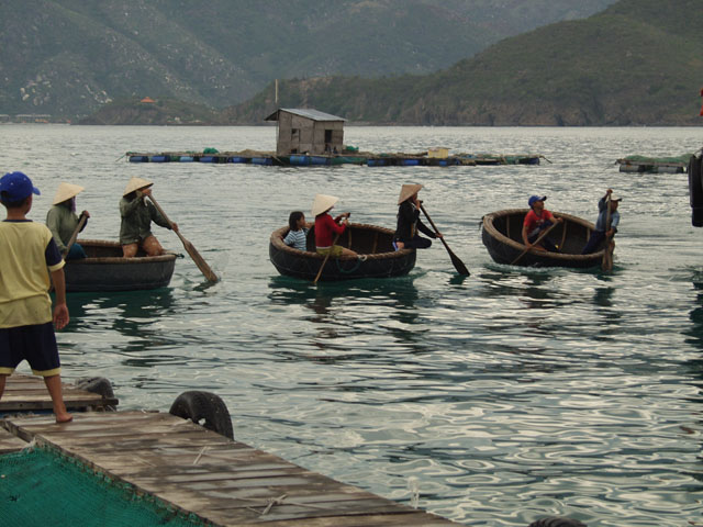 Абордажная команда на плавучих тазиках. На заднем плане видна структурная единица рыбацкой деревни. Хижина на бамбуковом плоту.
            