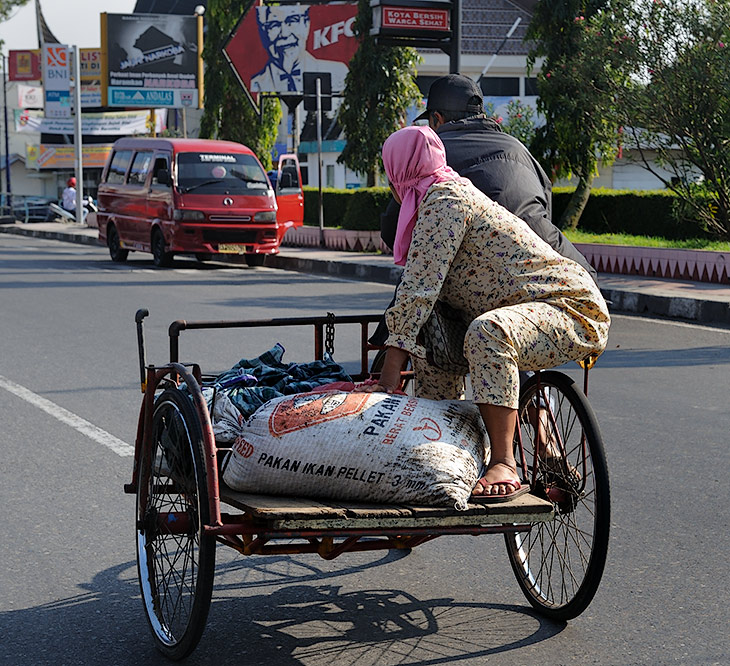Ну и традиционный для стран ЮВА грузовой велосипед. Самый экономичный вид транспорта, не требующий ни бензина, ни овса.
            