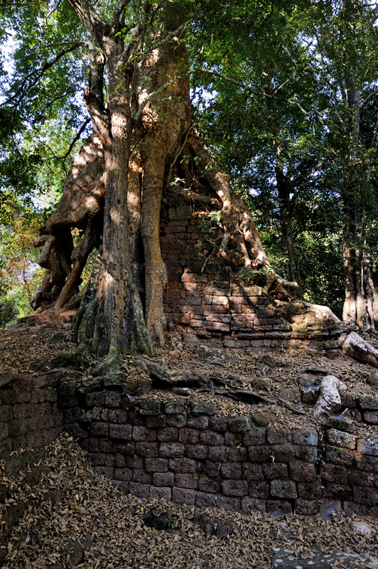В окрестных зарослях затерялись многочисленные следы строительного рукоблудия более ранних периодов. Удерживаемые лишь корнями деревьев, остатки стен не тронуты археологами, не влекут туристов, да и вряд ли когда будут
            восстановлены.