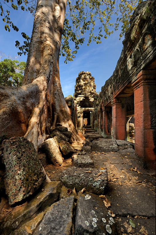 Лишь грандиозные размеры спасают Ангкор от немедленной реставрации и прополки. Иначе давно можно было бы наблюдать ровные квадраты брусчатки с бесконечными рядами бетонных статуй.