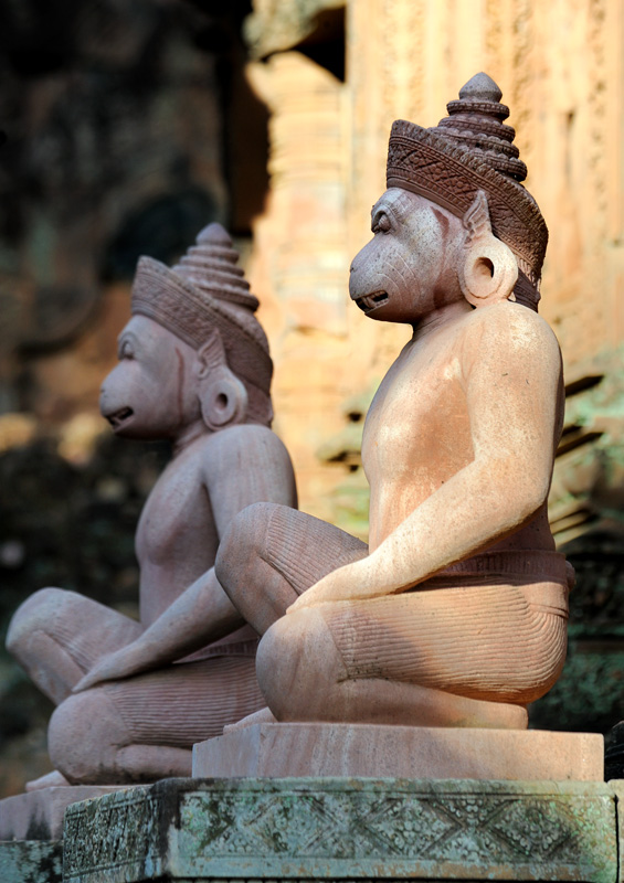А вот пример совсем уж безумной реставрации. Виртуозную каменную резьбу и общий ажурный вид Бантей Срей (Banteay Srei) здорово портят кривоватые свежевыструганные статуи обезьян. Название храма переводится как 