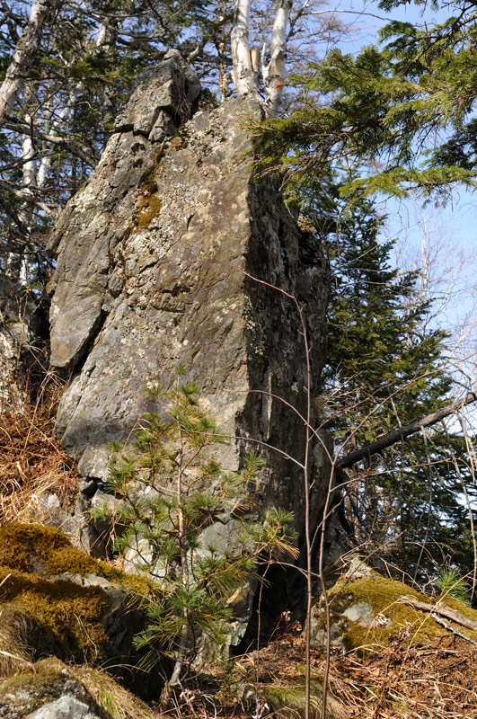 Бесконечные сочетания камней с елками тянутся вдоль всего пути к вершине. С подъемом температура заметно падает, лесной бурелом сменяется аккуратными хвойными островками средь нагромождений покрытых лишайниками скал.