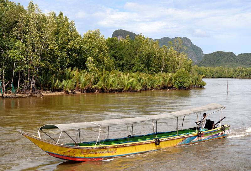 По мангровым лагунам курсируют длинные, ярко раскрашенные лодки.