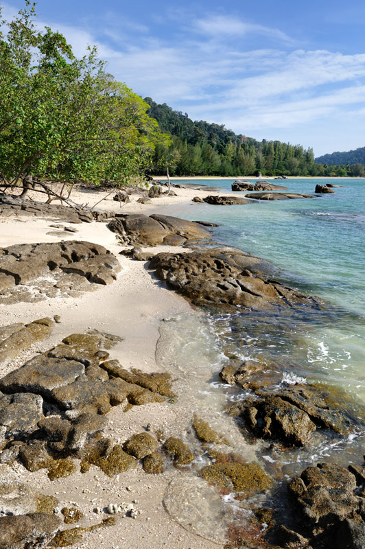 В отлив не составляет особого труда найти уединенный пляж с белым песком, сжимающийся во время прилива до узкой полоски затопленных мангровых коряг.