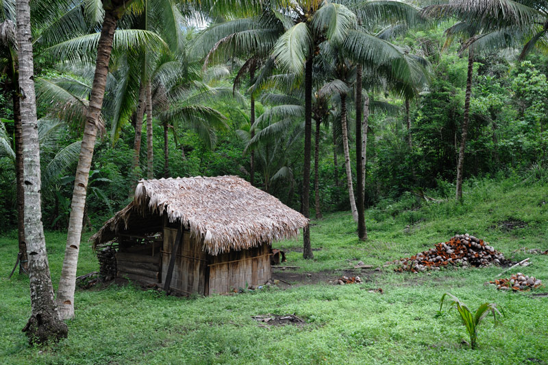 Многочисленная диковинная живность соседствует с шумной деревушкой и снующими вдоль побережья местными жителями, перешедшими от
            выращивания кокосов к обслуживанию туристов. В деревне есть приличные места для ночлега и обширный выбор гидов для прогулки по парку.