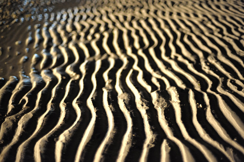 Ночной отлив оставляет на песке уходящую на километры твердую гребенку, похожую на поверхность стиральной доски.