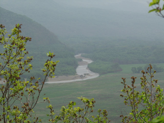 
      Мутноватый вид на реку Арсеньевку. Днем над долиной реки стоит довольно плотная дымка. Жара.
    